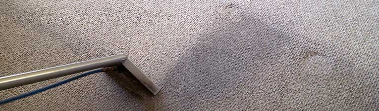 Steam extraction three